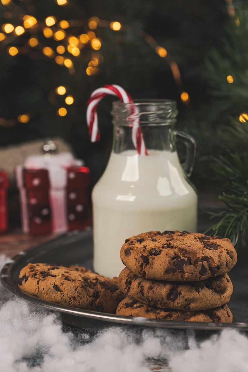 chocolate chip cookie